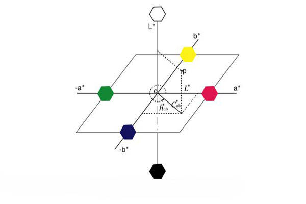 Schematic diagram of CIElab color space