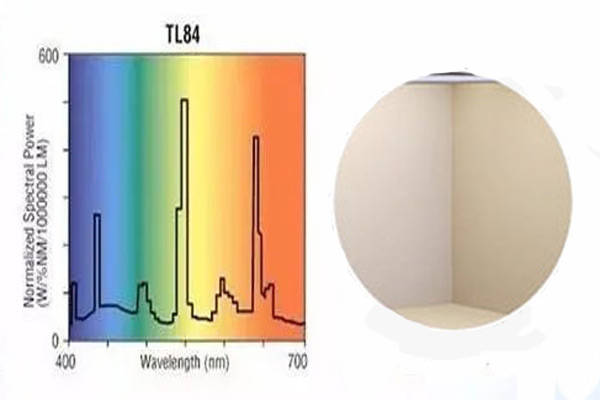 TL84 Light Source