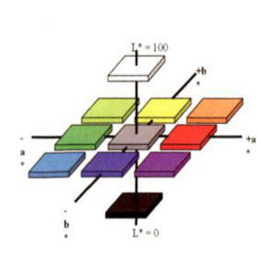 Commonly Confused Colorimetric Parameters in Colorimeter Use